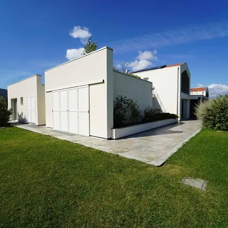 Beautiful Surrounded By Mediterannean Trees *